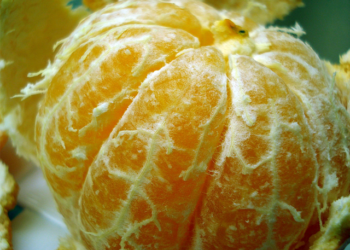 mandarina