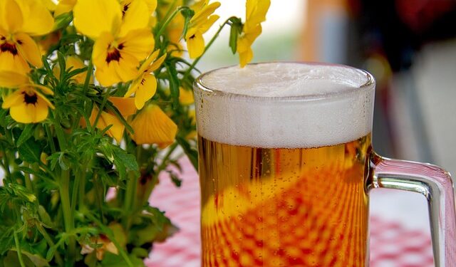 Pogledajte koja je vrsta piva najzdravija