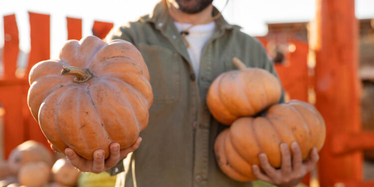 Besplatan događaj „Pumpkin Smash“ za reciklažu bundeva i zabavu u Aurori