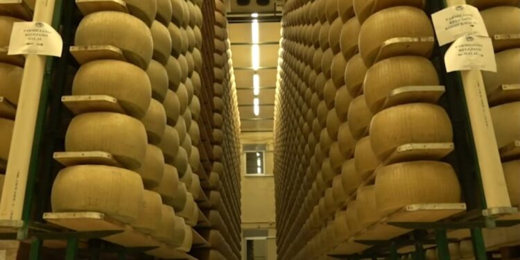 Parmiđano ređano popularniji od ferarija: Najpoznatiji sir na svetu proslavio 90. rođendan