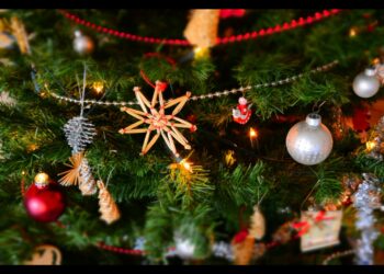 Božićne dekoracije stižu u Čikago: Da li je prerano za praznično ukrašavanje?