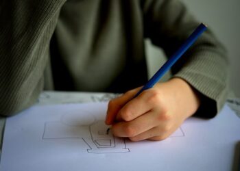 Lokalni referendumi: Više novca za škole i komunalne projekte u predgrađima Čikaga