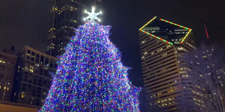 Čikago otvara prijave za božićnu jelku u Millenium Parku za 2024. godinu