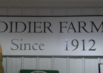 Happy Times Pumpkinfest: Jesenja zabava za sve generacije na Didier Farms-u