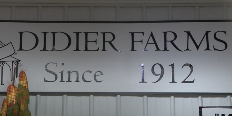 Happy Times Pumpkinfest: Jesenja zabava za sve generacije na Didier Farms-u