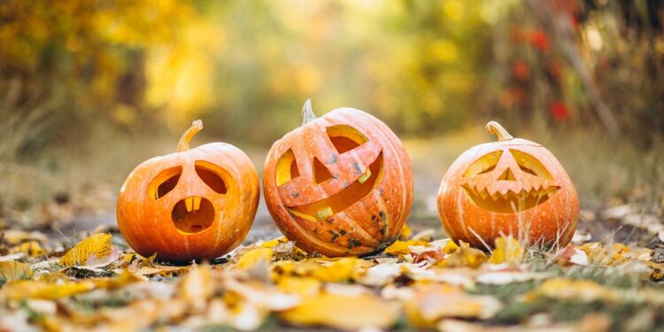 „Pumpkin Smash“ akcija na više lokacija u Čikagu: Ekološko rešenje za stare bundeve
