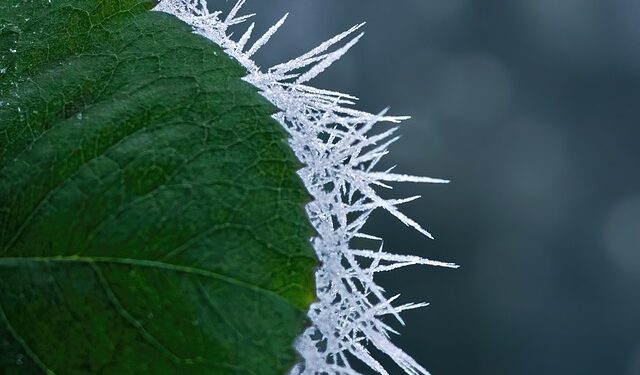 Prognoza za zimu pod uticajem La Niña-e: Šta nas očekuje?