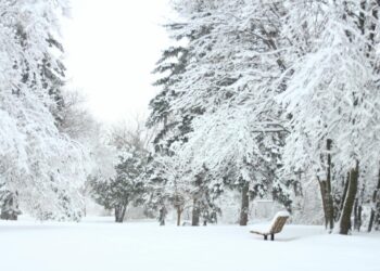 Prvi obilan sneg paralisao delove SAD: Putevi blokirani