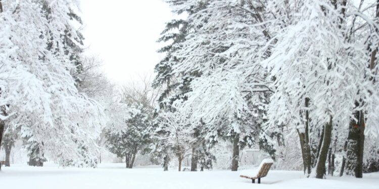 Prvi obilan sneg paralisao delove SAD: Putevi blokirani