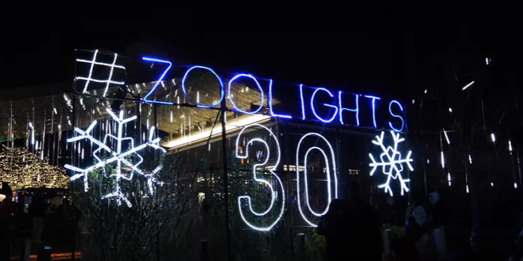 ZooLights u Lincoln Park Zoo-u: Svetlosna čarolija se vraća za 30. izdanje (VIDEO)