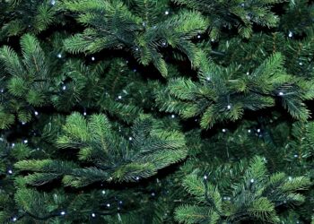 Recikliranje božićnih jelki u Čikagu: Sve lokacije i detalji