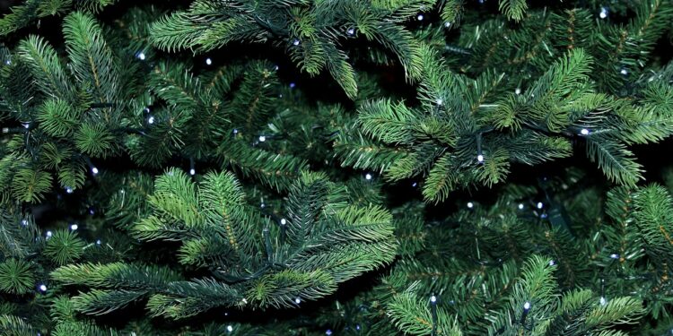 Recikliranje božićnih jelki u Čikagu: Sve lokacije i detalji