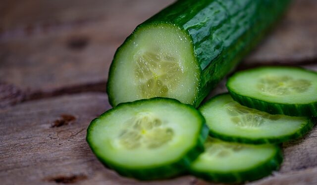 Povlačenje krastavaca zbog salmonele: Upozorenje potrošačima u Ilinoisu