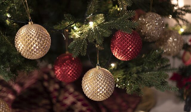 Cena pravih božićnih jelki u Čikagu porasla za 10% u odnosu na prošlu godinu