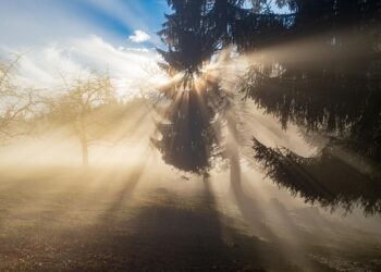 Gusta magla otežava jutarnji saobraćaj u Čikagu