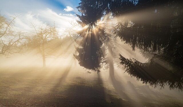 Gusta magla otežava jutarnji saobraćaj u Čikagu