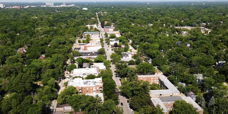 Prvi petak u Evanstonu: Ulice oživljavaju uz muziku, boje i prolećnu energiju