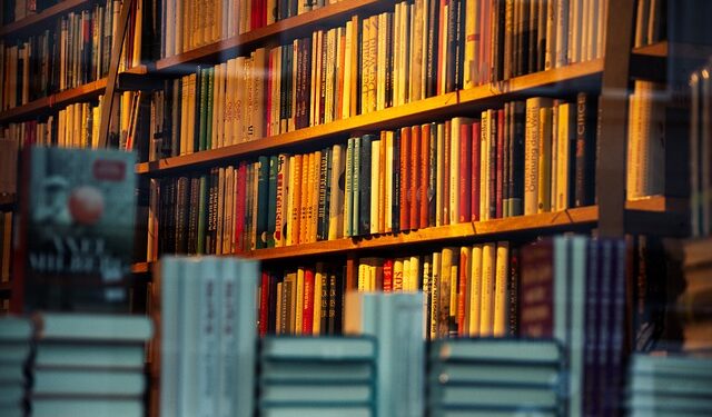 Najpopularnija mala firma u Ilinoisu 2025. godine – porodična knjižara iz Naperville-a