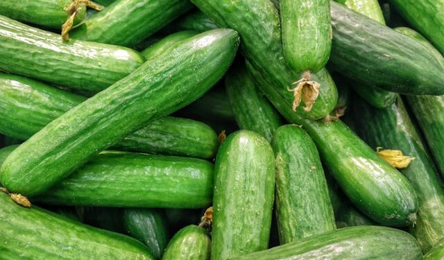 Opasne krastavce možda ste već pojeli: Novi brendovi na listi zbog salmonele, prijavljeni slučajevi i u Ilinoisu