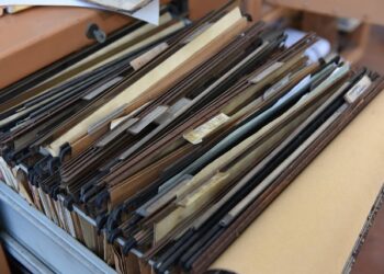 Lični podaci imigranata u Illinoisu prosleđeni agentima za deportaciju