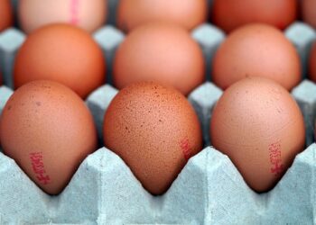 Jaja zaražena salmonelom stigla i u Illinois – 79 ljudi obolelo, 21 hospitalizovano