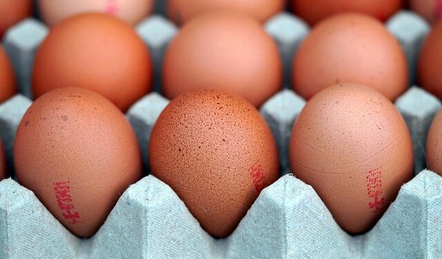 Jaja zaražena salmonelom stigla i u Illinois – 79 ljudi obolelo, 21 hospitalizovano