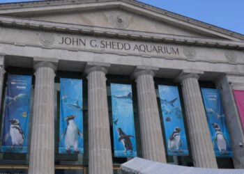 Shedd Aquarium