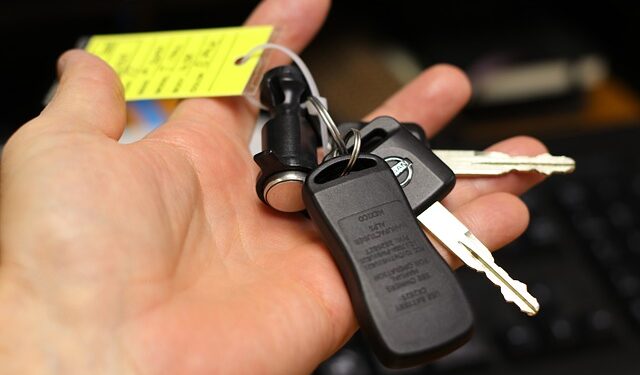 Ulica kao auto-pijaca: Kako Illinois staje na put ilegalnoj prodaji polovnjaka