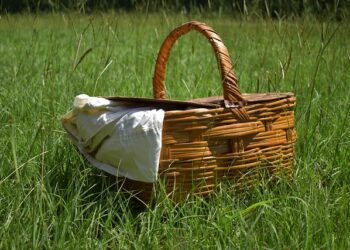 Parkovi koji osvajaju: Najbolja mesta za piknik u Čikagu