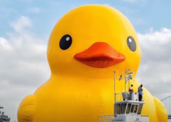 Stiže džinovska gumena patka u Čikago: Evo kada i gde možete da je vidite