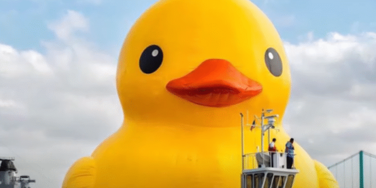 Stiže džinovska gumena patka u Čikago: Evo kada i gde možete da je vidite