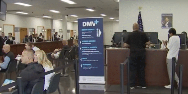 DMV