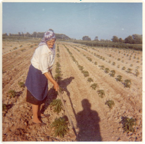 Verina baba po ocu, Sveta Videnović „na odmoru“ 70tih u Mičigenu; Privatna arhiva