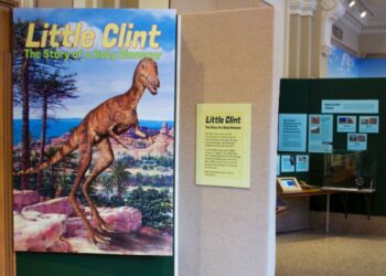 Dinosaur Discovery Museum