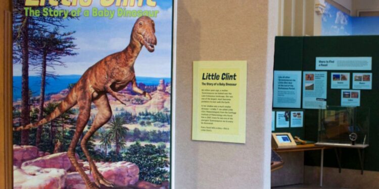 Dinosaur Discovery Museum