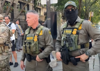 Imigraciona kontrola u Čikagu: Kako se zaštititi ako vas federalci zaustave