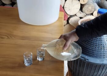 Šljivovica predmet naučnog istraživanja Filozofskog fakulteta