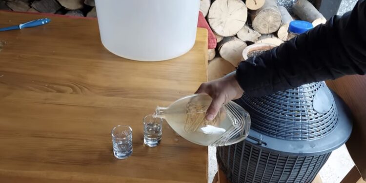 Šljivovica predmet naučnog istraživanja Filozofskog fakulteta