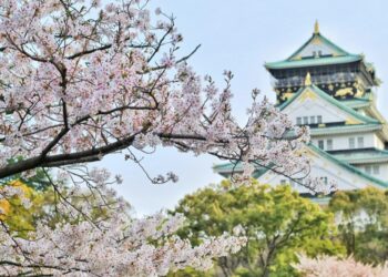 Novi rekord Japana: Više od 100.000 ljudi starijih od 100 godina