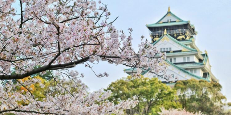 Novi rekord Japana: Više od 100.000 ljudi starijih od 100 godina