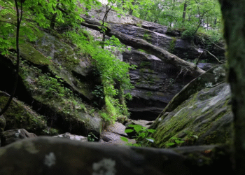 Otkrivamo skriveni dragulj Ilinoisa: Čudesni Shawnee National Forest (VIDEO)