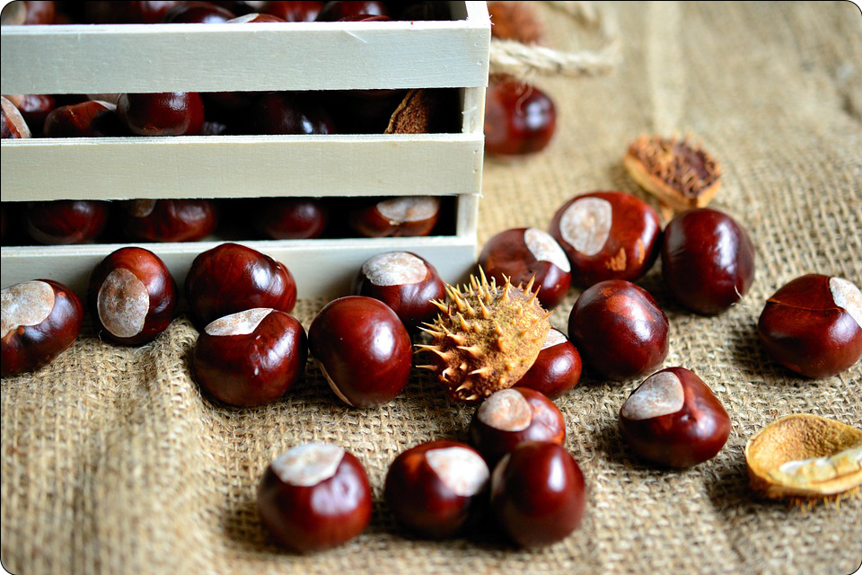 Od Krajine do Čikaga Prelo prenosi tradiciju mladima; Foto: ilustracija, Pixabay