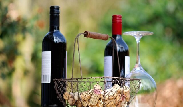 Evanston Wine Walk 2025: Vino, dobra energija i humanitarni karakter – evo šta vas očekuje