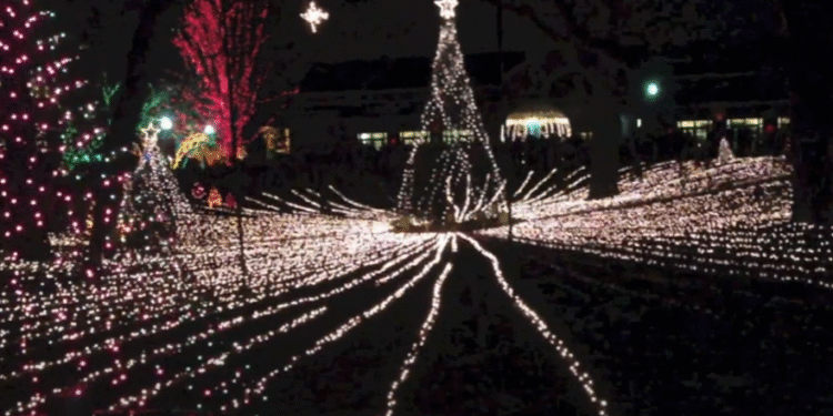 Više od 3 miliona lampica: Počela prodaja karata za čuveni Zoolights u Lincoln Park Zoo