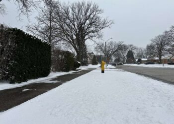 Odbijena inicijativa u Čikagu: Grad neće čistiti snežne trotoare uprkos podršci Johnson-a