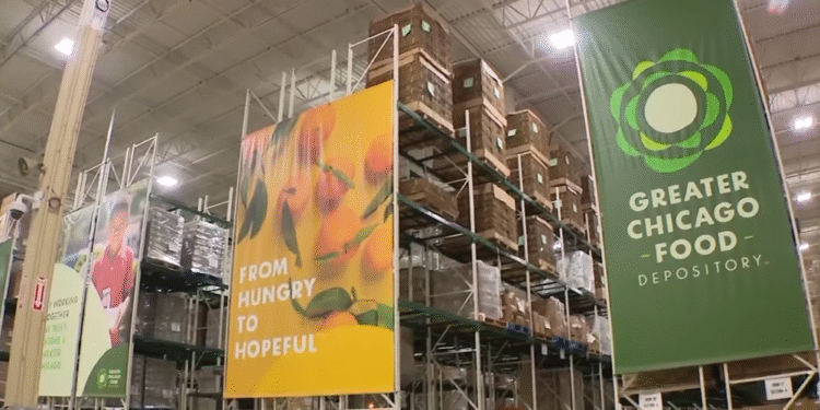 Illinois izdvaja $20 miliona pomoći dok Trump-ova administracija zaustavlja SNAP program