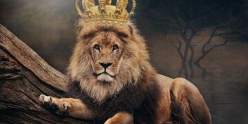 Disney spektakl stiže u Čikago: “The Lion King” pred publikom u Cadillac Palace teatru