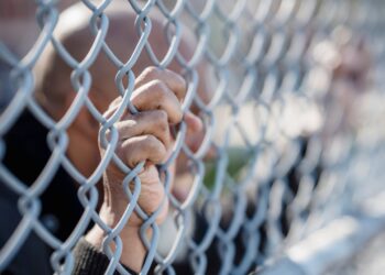 ilegalnih imigranata