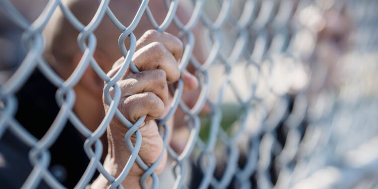 ilegalnih imigranata