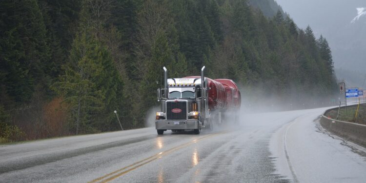 Hapšenja srpskih vozača kamiona u Americi